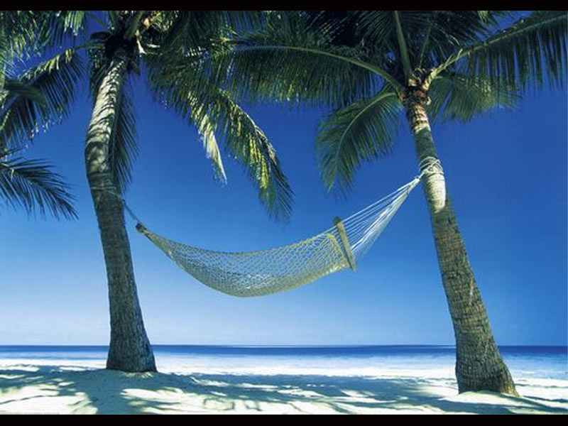 hammock.jpg